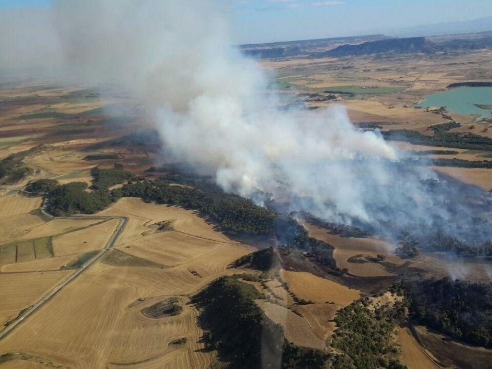 Zaragoza registra tres incendios forestales