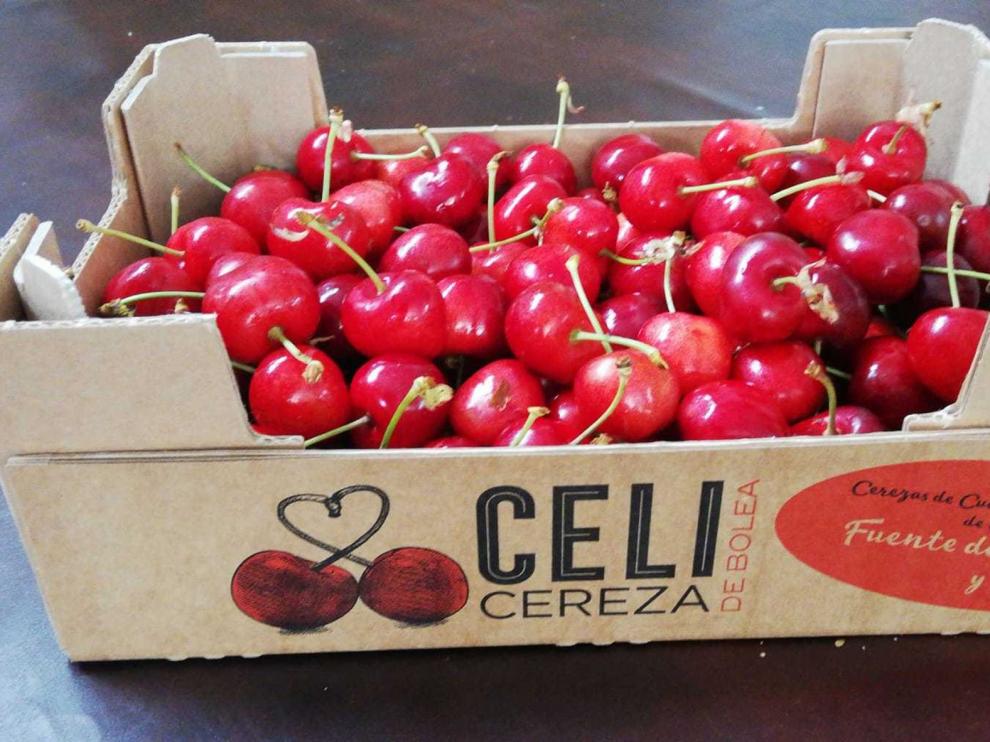 La cereza de Bolea cierra una campaña agridulce