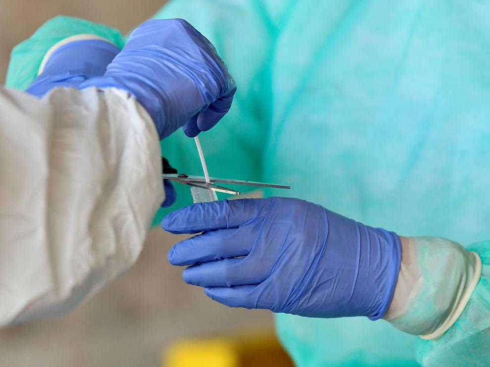 La profesión veterinaria, clave para proteger la salud