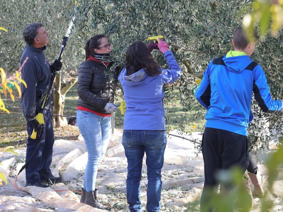 Los estudios agrarios de Huesca siguen entre los mejores