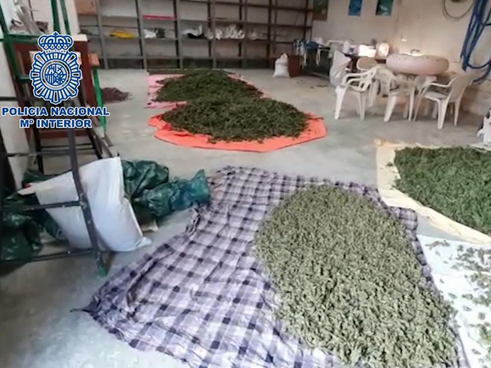 La Policía Nacional interviene cinco toneladas y media de marihuana y desarticula una organización dedicada a su cultivo a gran escala