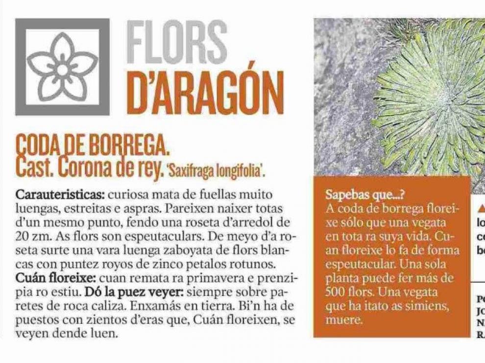 Aragón Natural, nuevo proyecto didáctico sobre fauna y flora