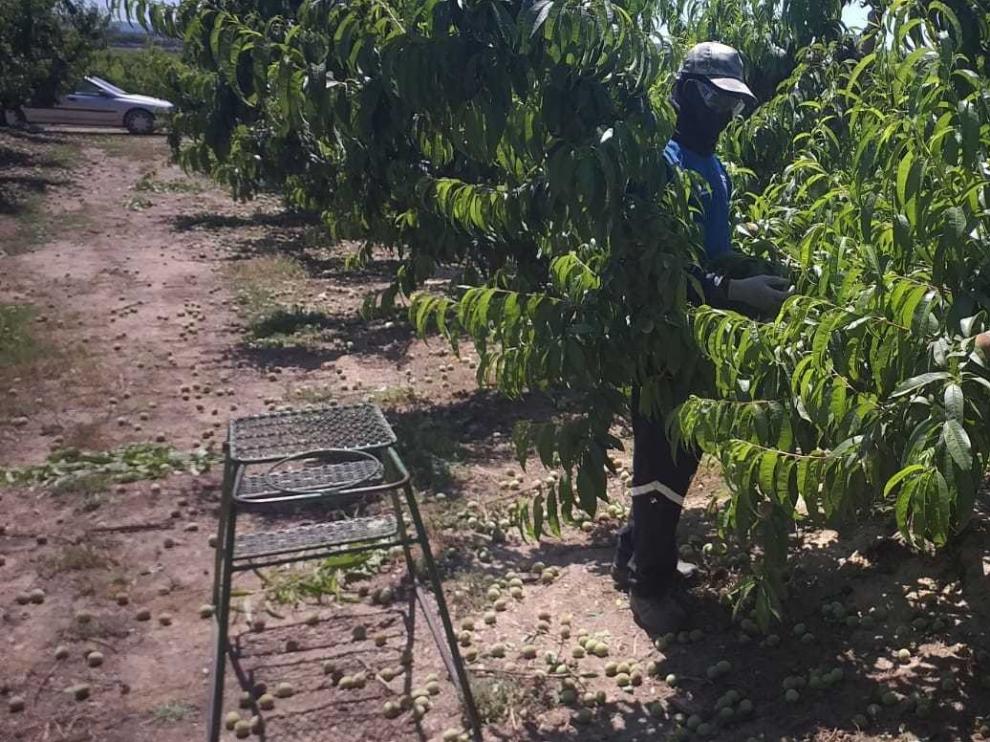 Las organizaciones agrarias critican que se criminalice al sector primario