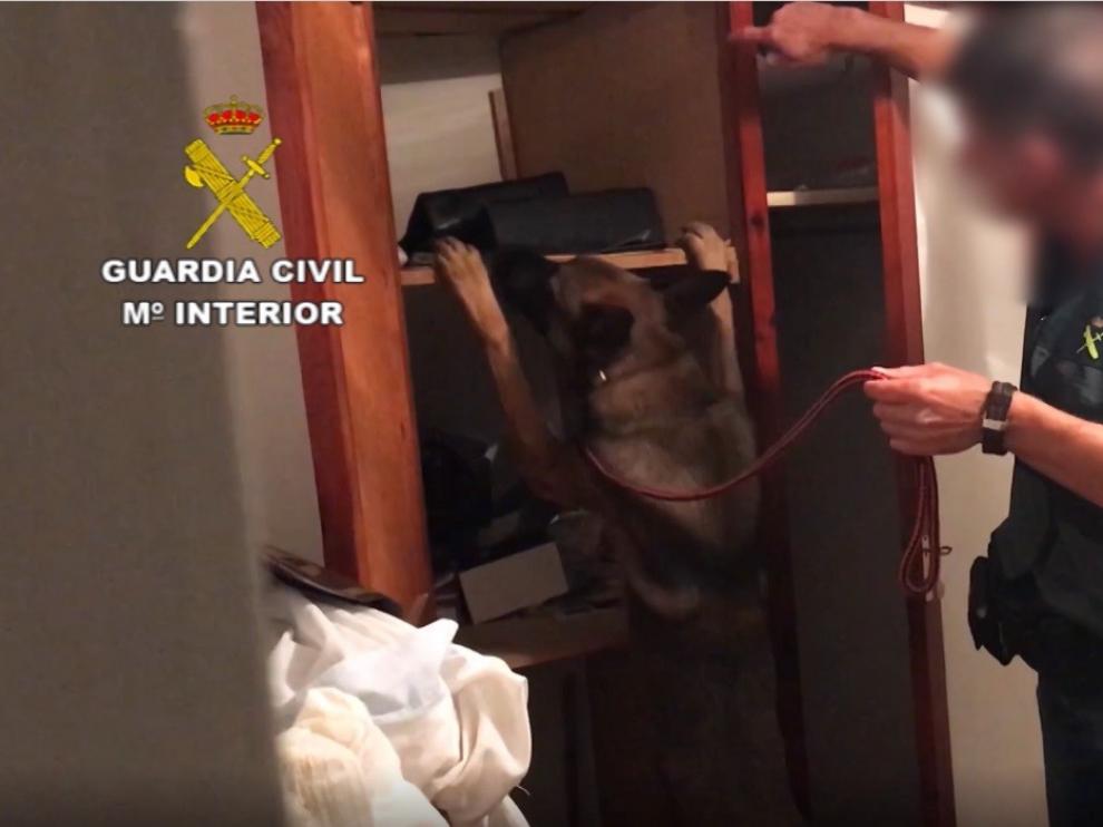 Desarticulada una organización criminal que traficaba con droga en Huesca, Tarragona y Gerona