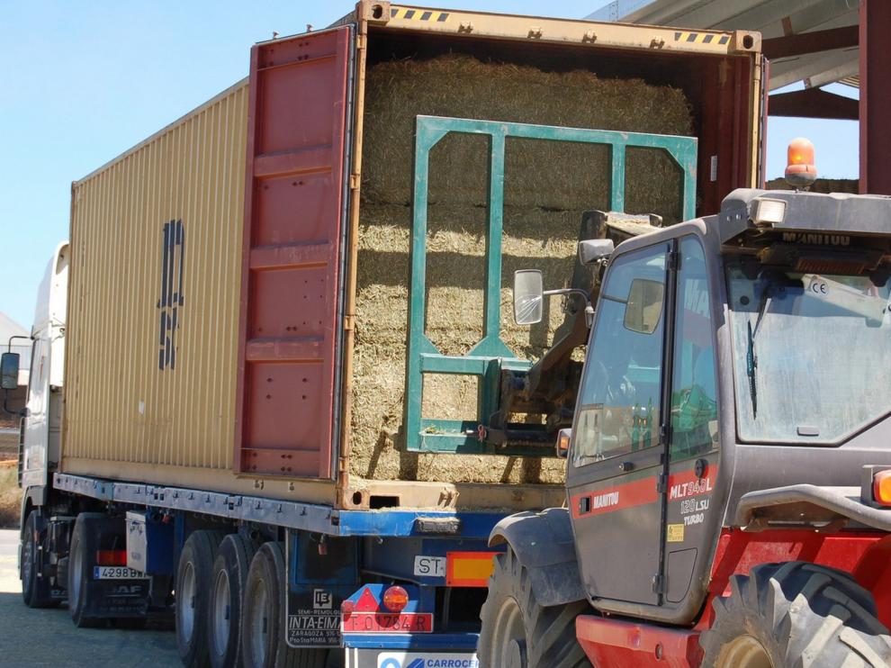 Alfeed logra exportar 75.000 toneladas de alfalfa al año