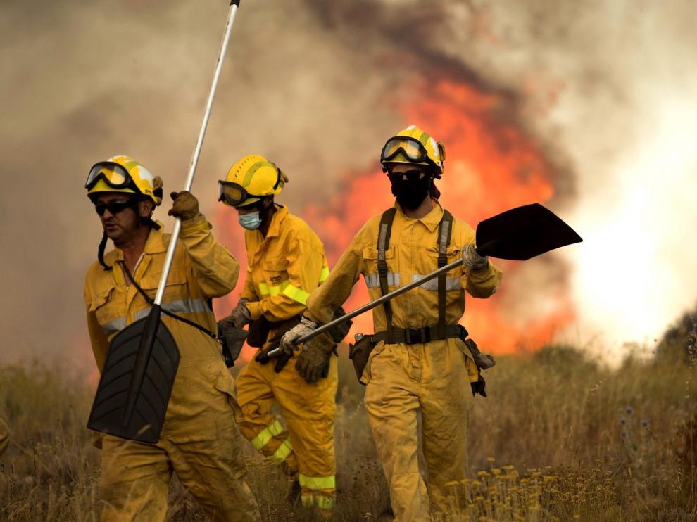 Un incendio arrasa 19 hectáreas de monte bajo en Fuendetodos