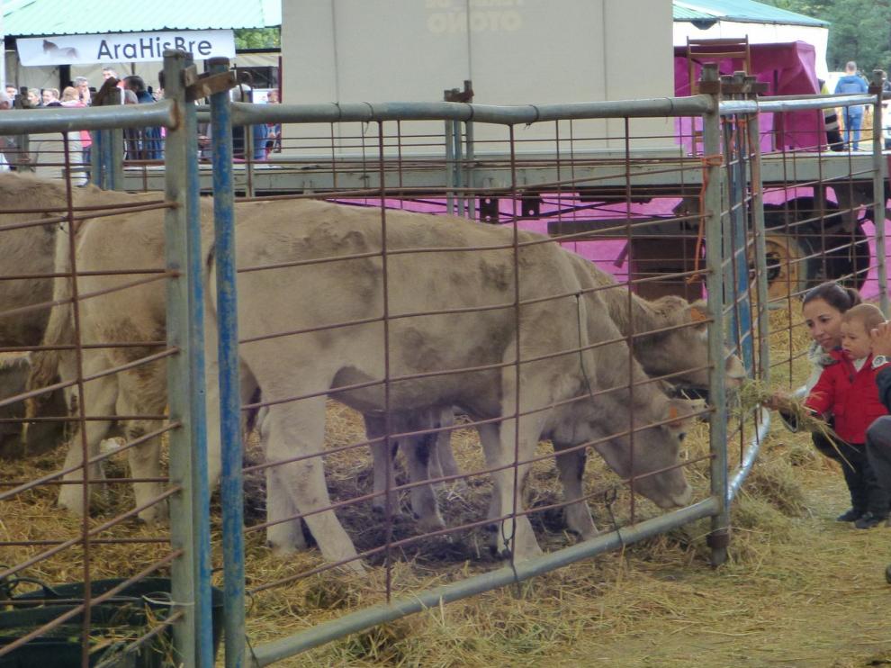 Biescas cancela la Feria de Otoño de este año