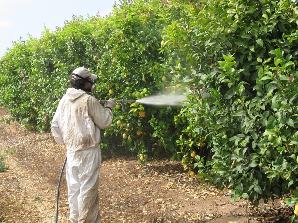 Más de 230.000 euros en sanciones en las inspecciones de trabajo en las campañas agrícolas en Aragón
