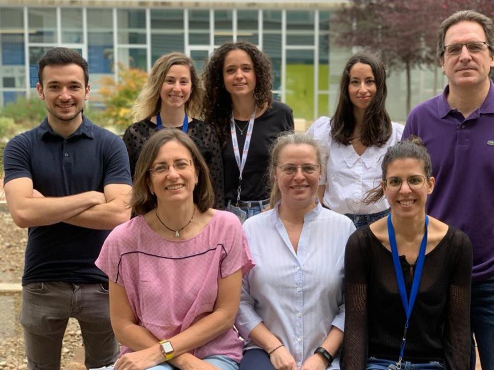 El Instituto Bifi de la UZ busca fármacos para hacer frente a la Covid-19