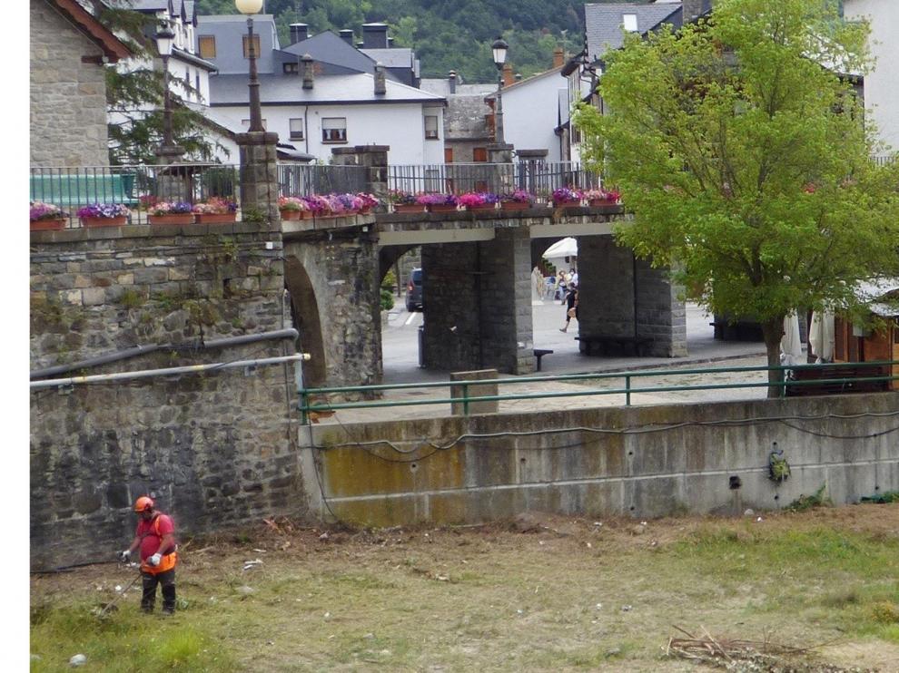 Desbrozan la margen izquierda del río Gállego a su paso por Biescas
