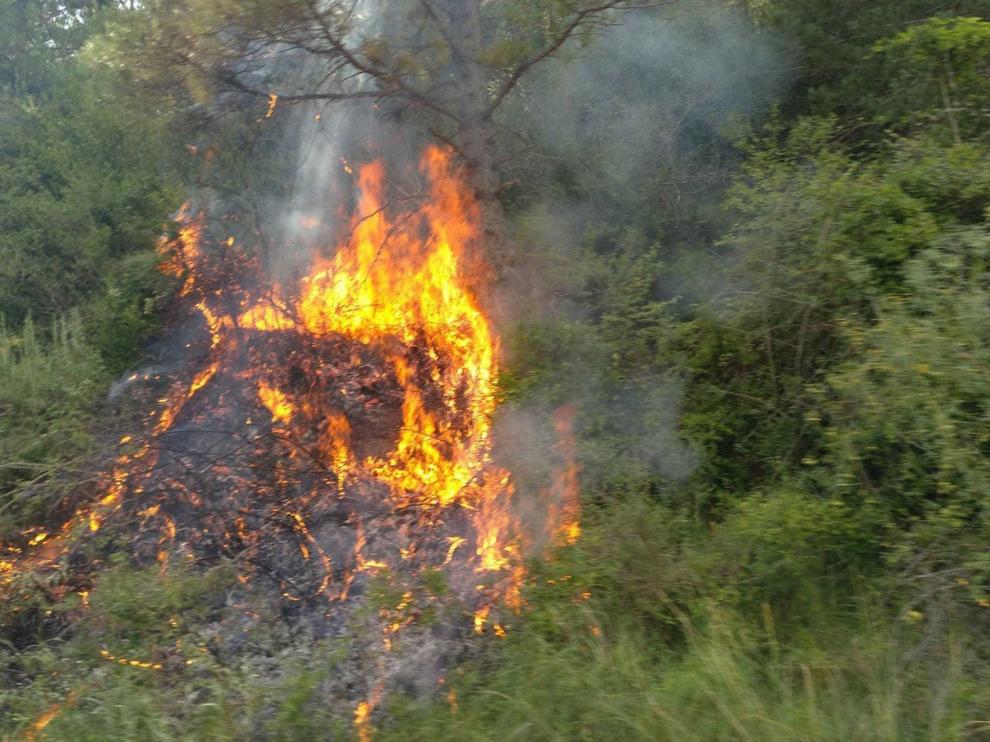 Controlan incendios en Escalona y Olvena