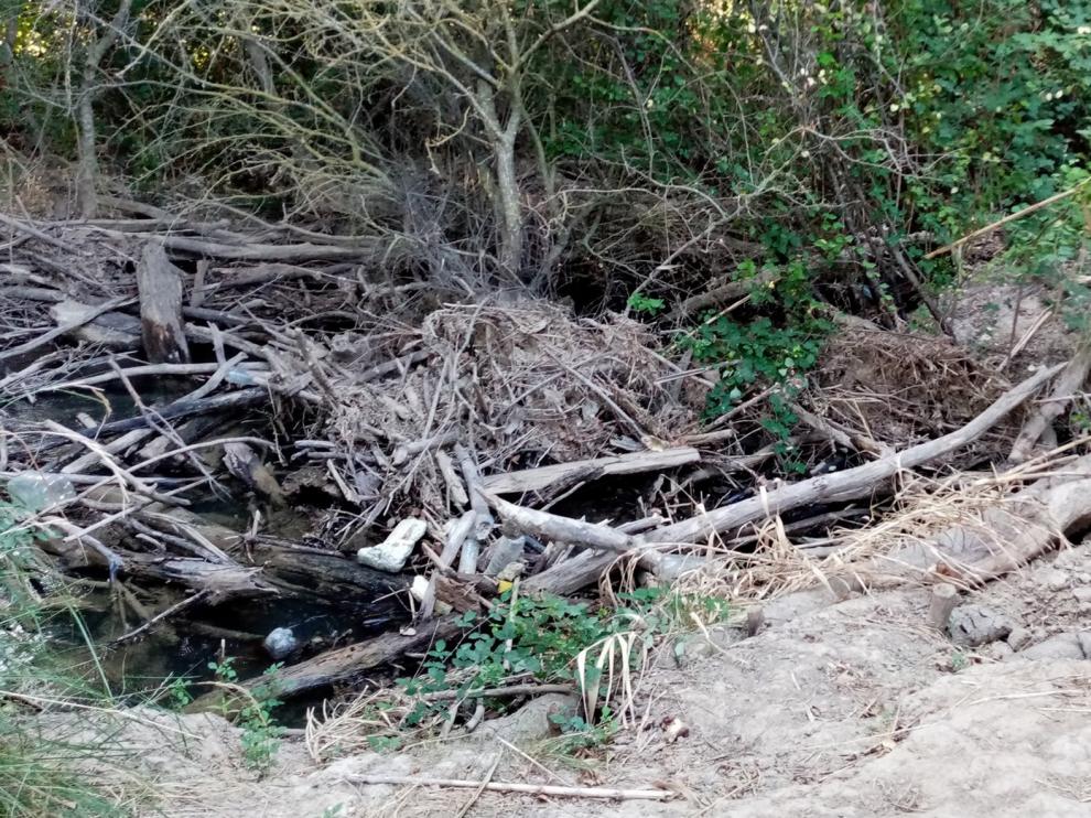 Tapón de ramas y troncos en el Flumen