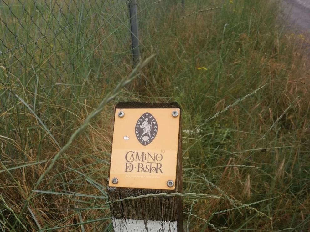 El Camino del Pastor, una senda histórica