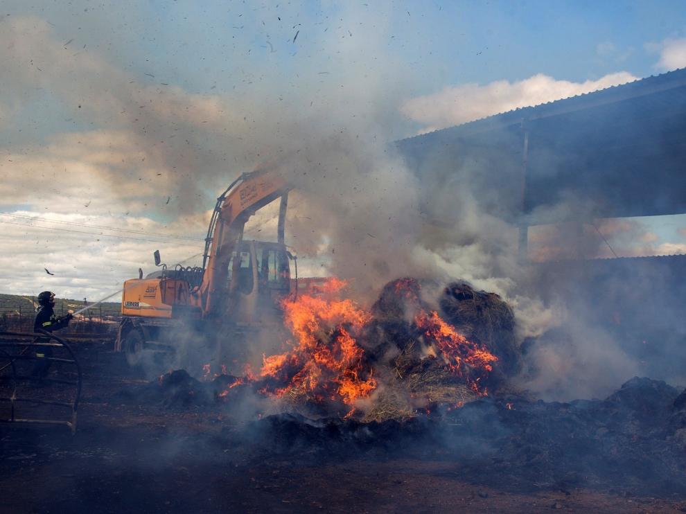En lo que va de año se han quemado menos de la mitad de hectáreas que en 2019
