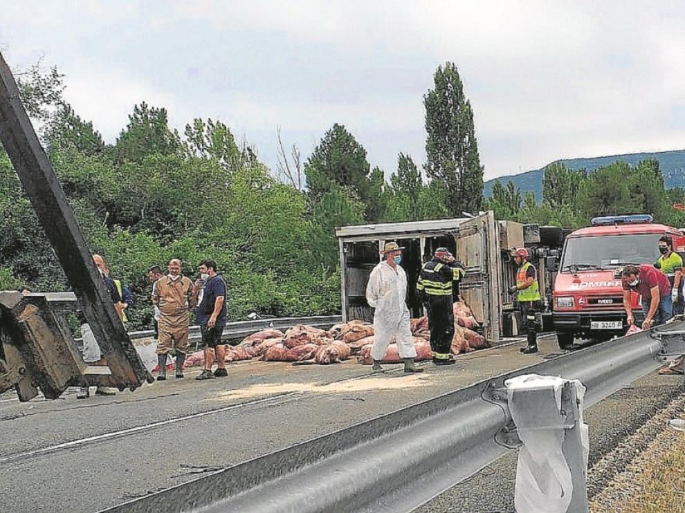 El vuelco de un camión con cerdos corta siete horas la N-123a en Torres del Obispo