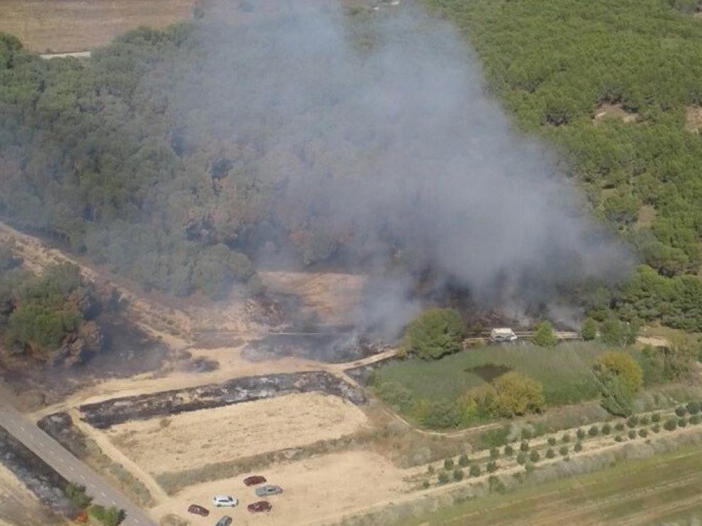 Un incendio calcina 4.500 metros cuadrados de pinar en el municipio de Almuniente