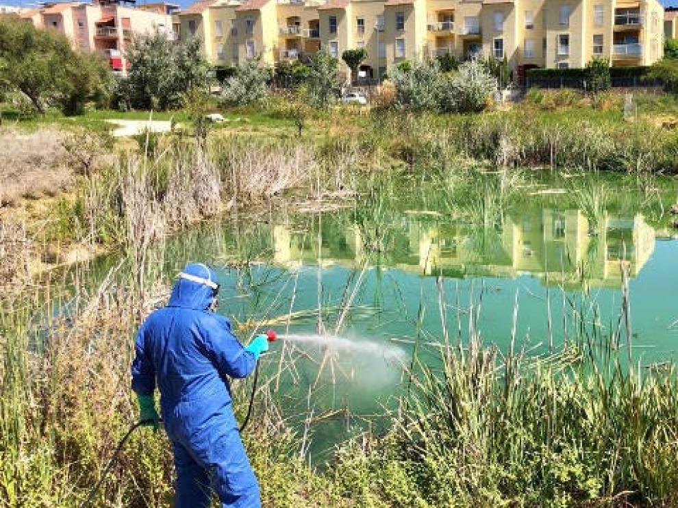 Segunda víctima mortal del virus del Nilo, que afecta a 38 personas