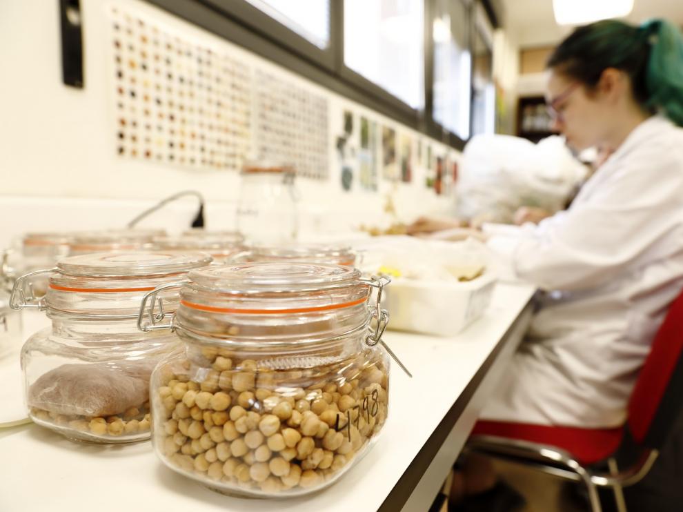 El CITA pone en marcha cinco proyectos de I+D+i Retos de Investigación 2019