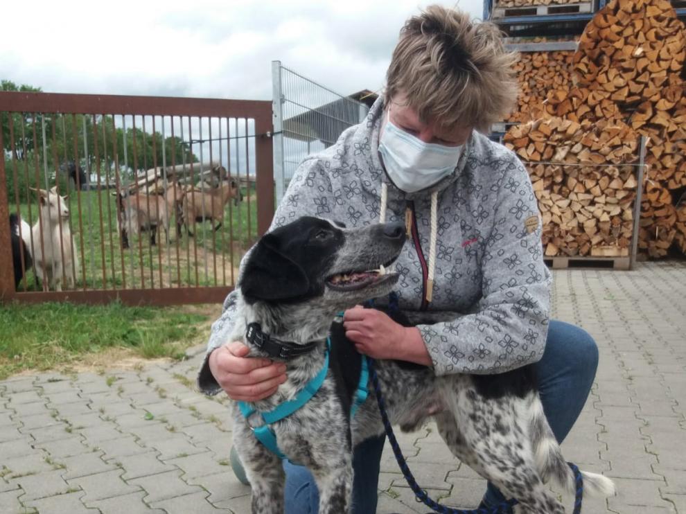 Curro, de dar vueltas en una jaula en Huesca a llevar una vida feliz en Alemania