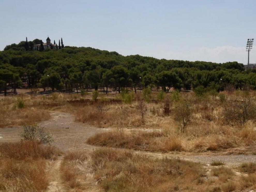El Huesca da los primeros pasos para la repoblación en la zona San Jorge-El Alcoraz