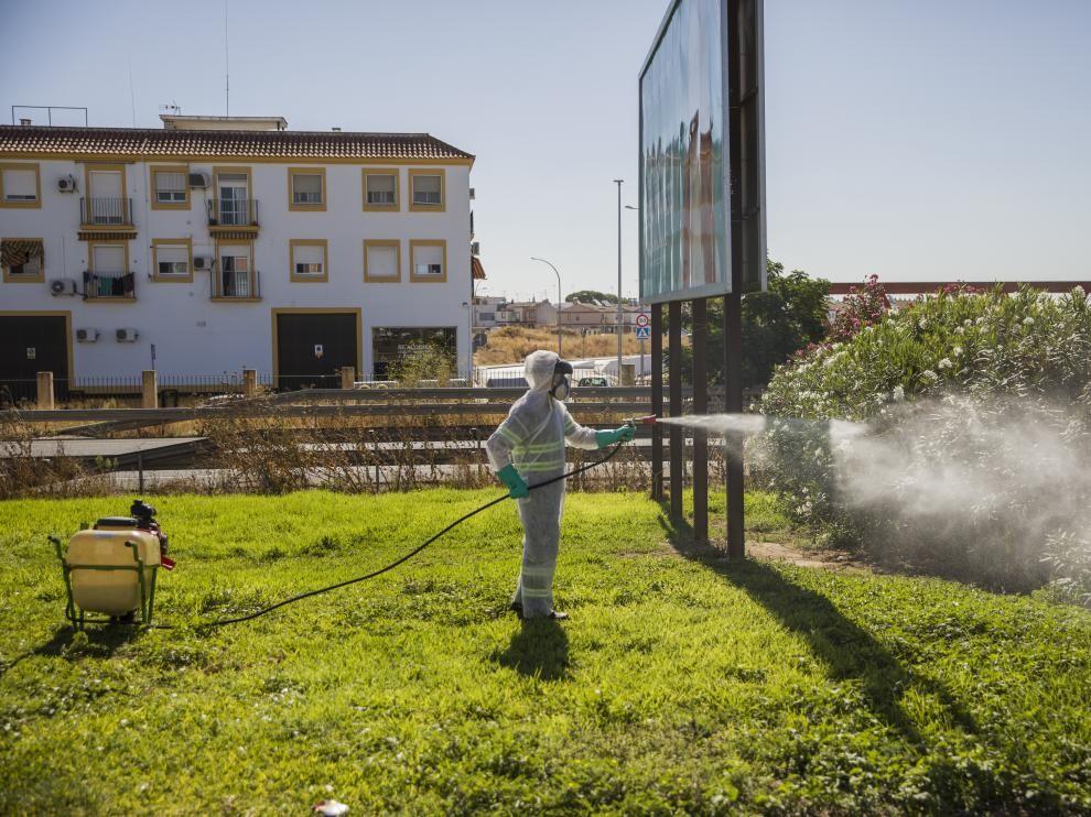 Llegan a 40 los casos asociados al virus del Nilo