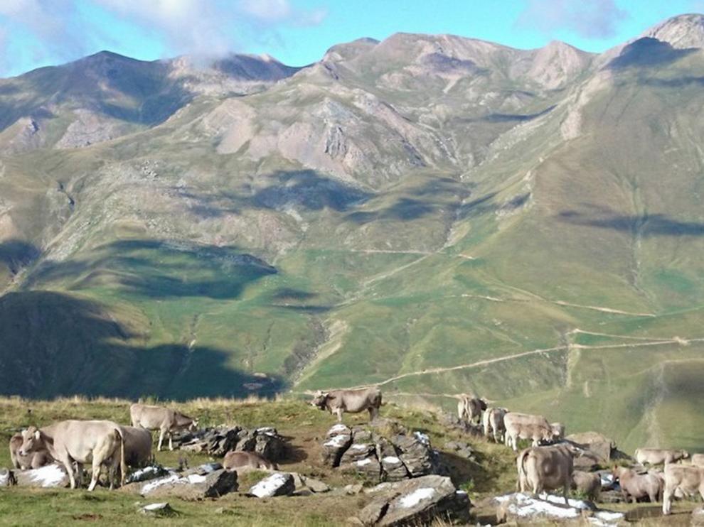 La DGA "minimizará sustancialmente" los impactos ambientales de Castanesa
