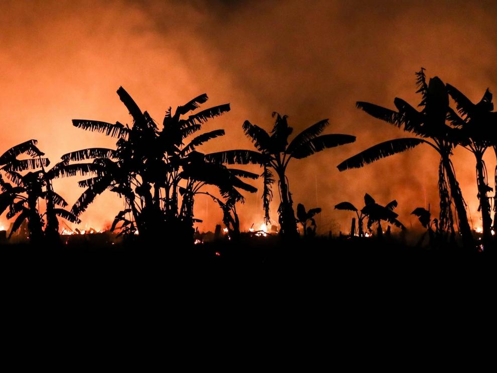 Los incendios agravan la pandemia en Brasil
