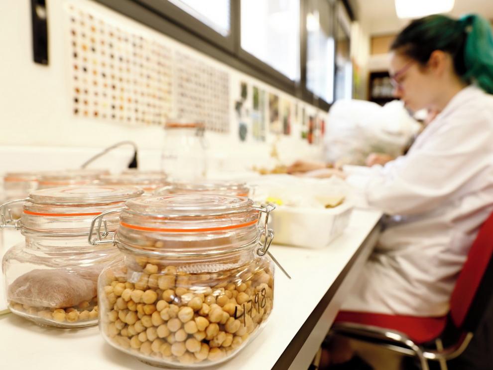 El Cita inicia la investigación de cinco proyectos en agricultura y ganadería