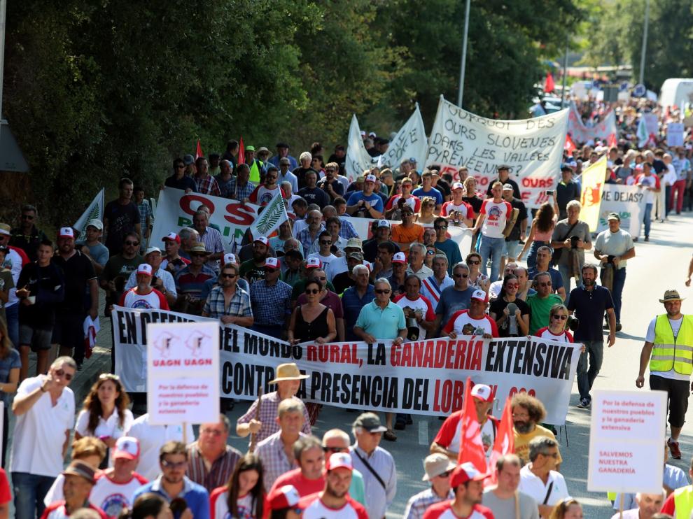 Reclaman que se priorice al ganadero frente al oso y al lobo