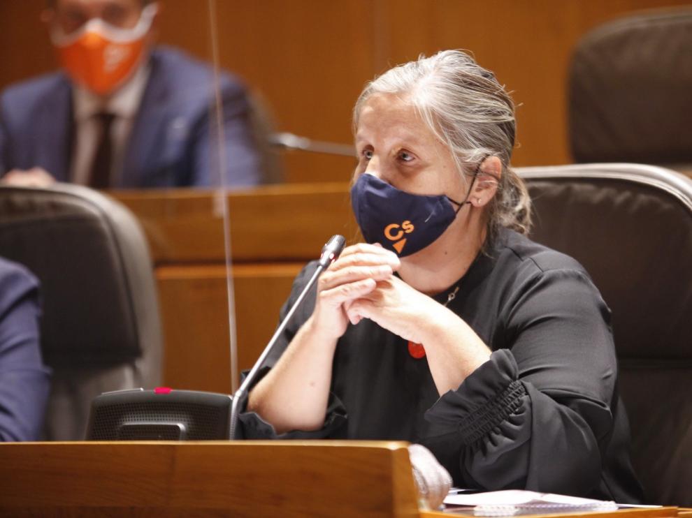 Unanimidad para pedir instrumentos legales para Aragón para controlar rebrotes