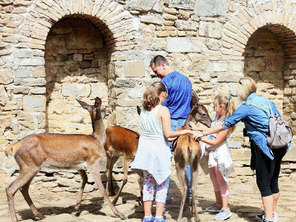 La Ciudadela de Jaca aguanta el impacto del coronavirus