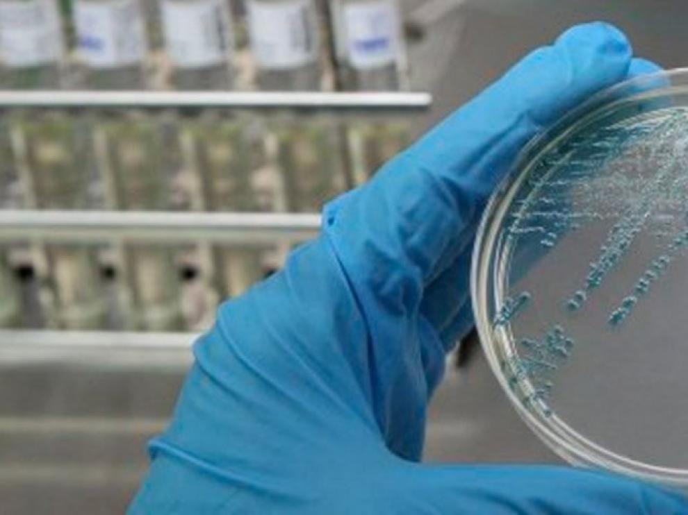 Más de 650.000 firmas piden medidas para salvar la ciencia e investigación sobre el cáncer
