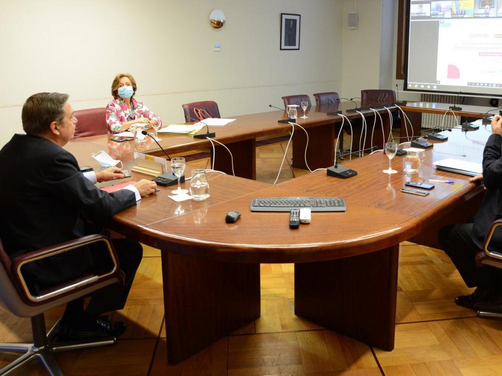 Luis Planas: “La pandemia está acelerando el cambio hacia la sostenibilidad”