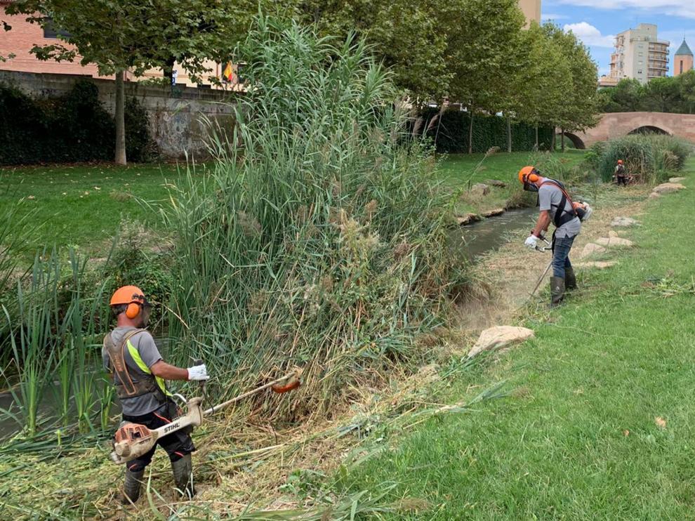El Ayuntamiento de Monzón comienza la limpieza del río Sosa