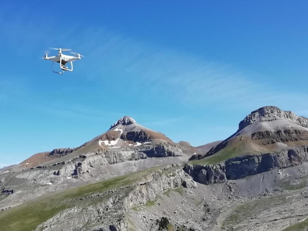 Utilizan drones en la Garcipollera para seguir al ganado extensivo