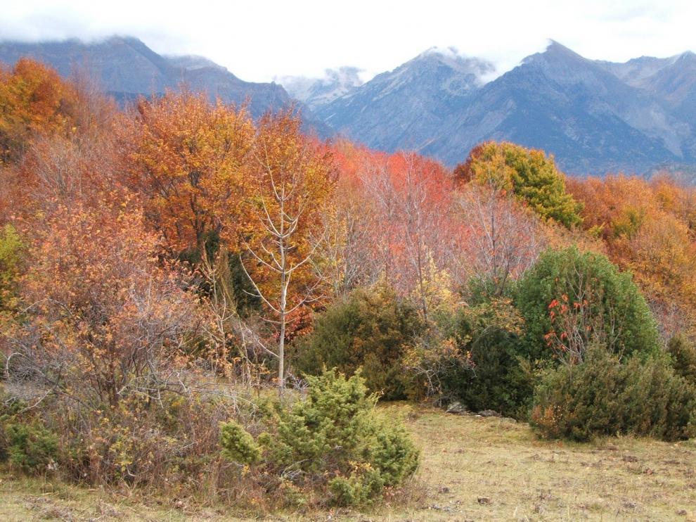 La Aemet prevé un otoño cálido y seco en Aragón que siga la tónica del verano