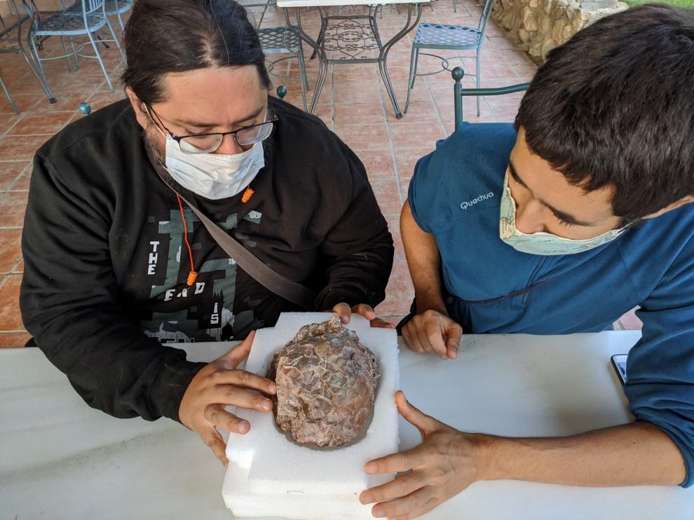 Hallan en Loarre un gran yacimiento de Huevos de dinosaurio