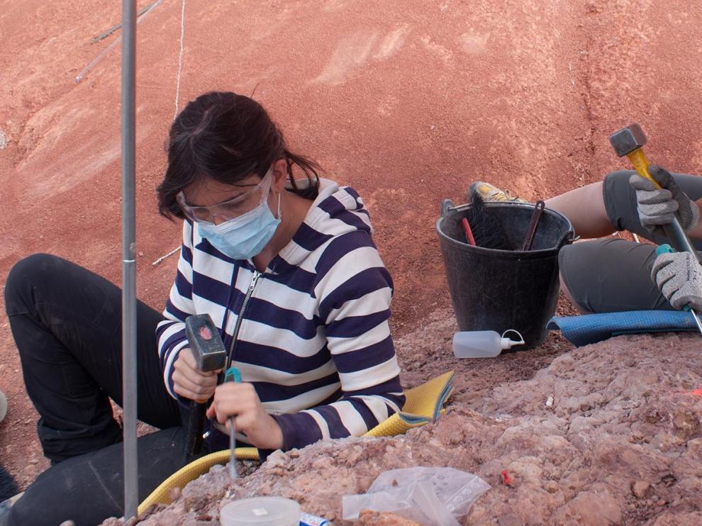 Más de 40 huevos de dinosaurios recuperados ya en el yacimiento de Loarre