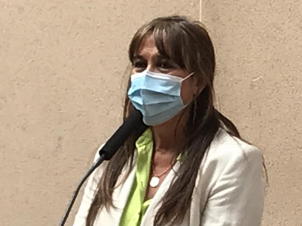 Repollés: "El sistema sanitario está aguantando"