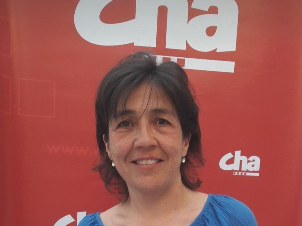 Concesión de la autorización administrativa al proyecto de incineradora en Monzón