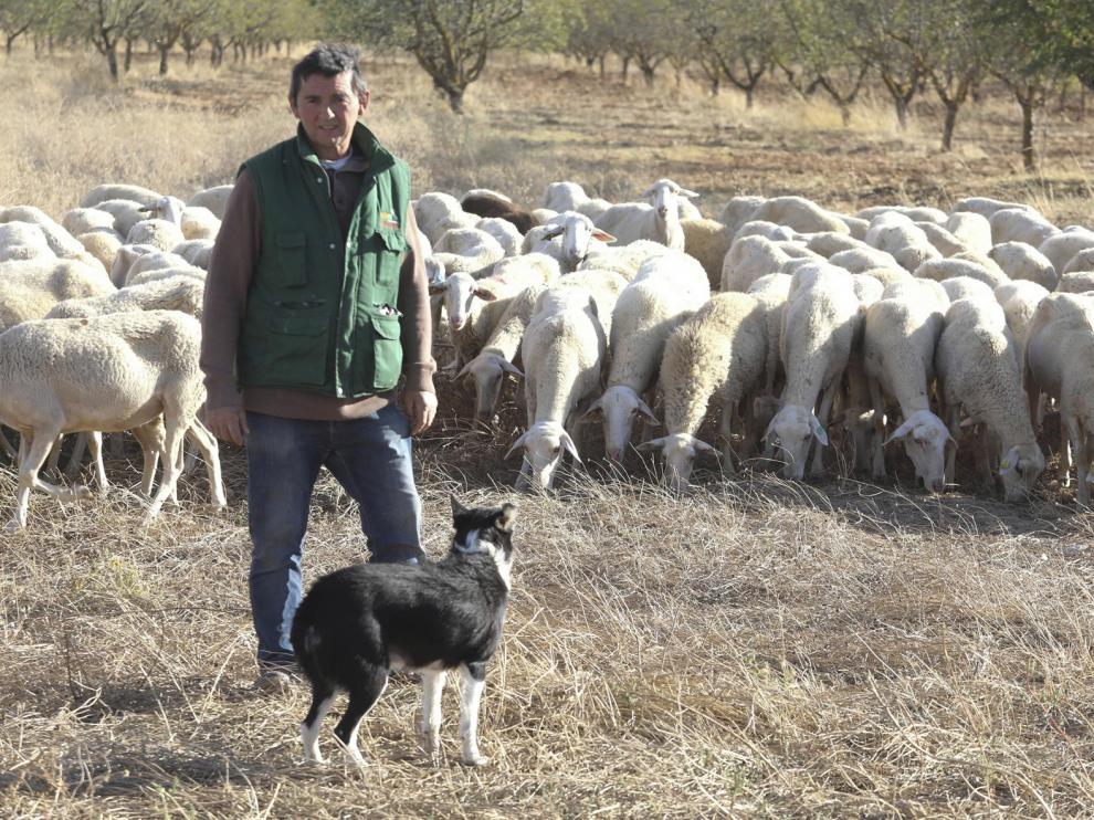José Luis Grasa: "Si cuidas las ovejas, te van a dar, y con mejora genética, mucho más"