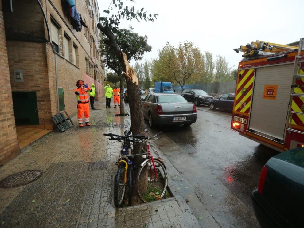 Calles anegadas, vehículos atrapados y la caída de un árbol a causa de la tromba de agua en Huesca