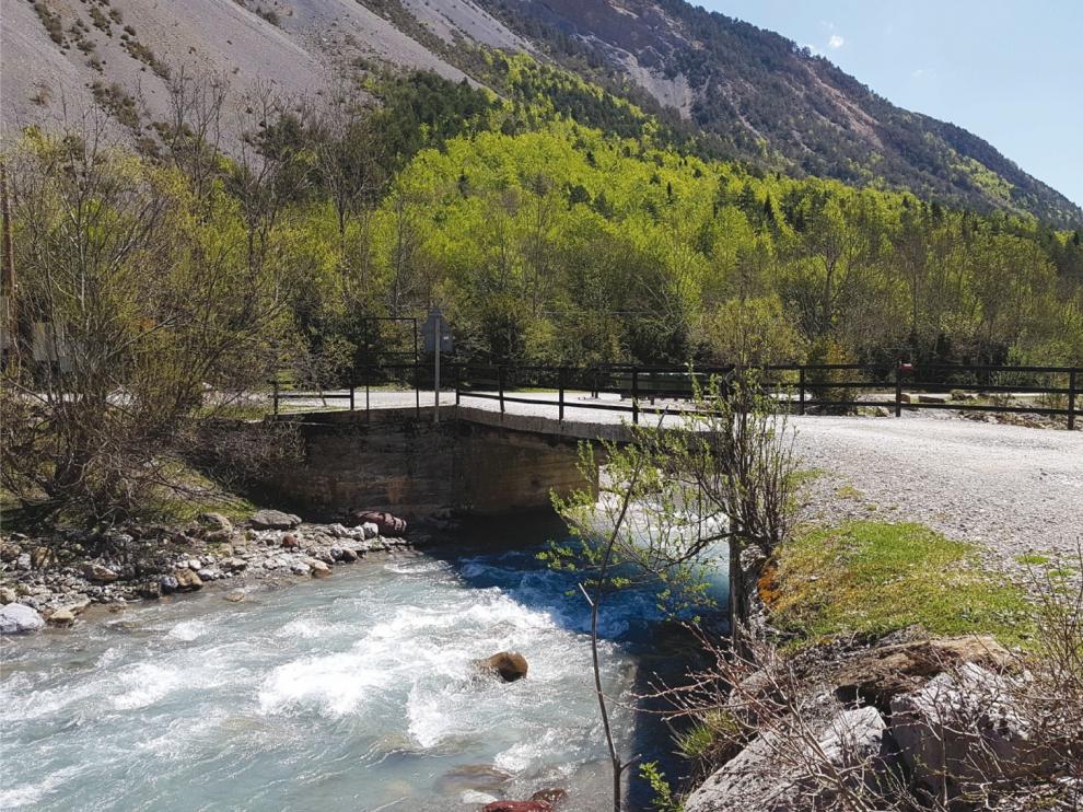 Más de mil voluntarios analizan las aguas de los ríos de Aragón