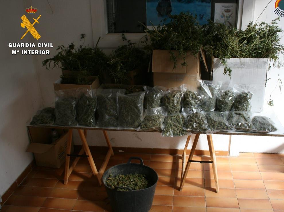 La Guardia Civil interviene 480 plantas de marihuana y detiene a cuatro personas en Fraga y Monzón
