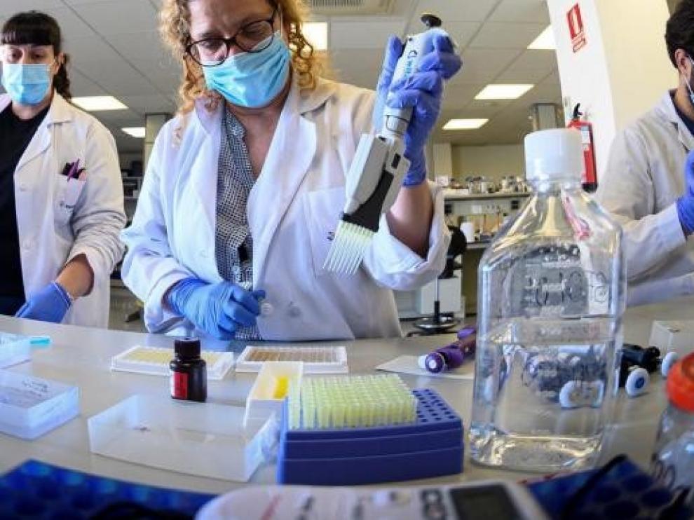 El Gobierno dedica 412 millones a proyectos de investigación