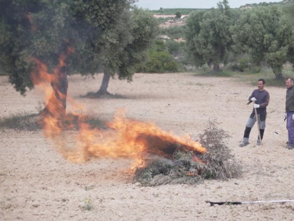 El ayuntamiento de Monzón recuerda la necesidad de consultar el mapa de riesgo antes de una quema agrícola