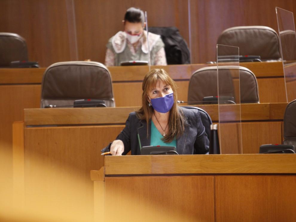 Repollés afirma que "no aporta nada" autorizar los test de antígenos en las farmacias