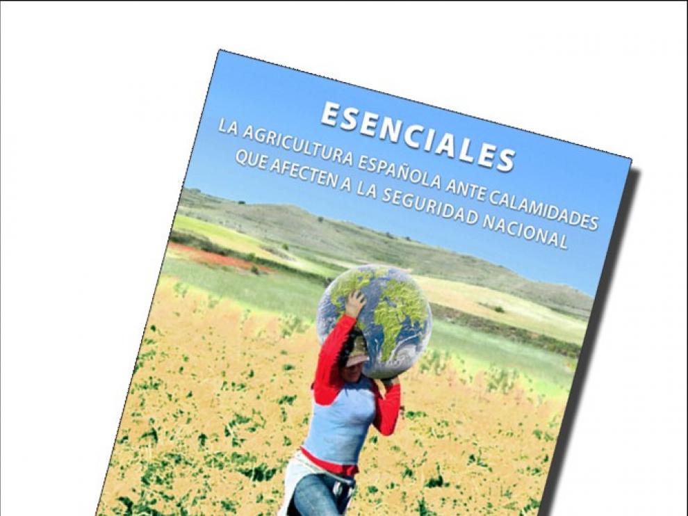 Un 7% de grandes empresas agrarias obtienen ya el 42% del valor de la producción