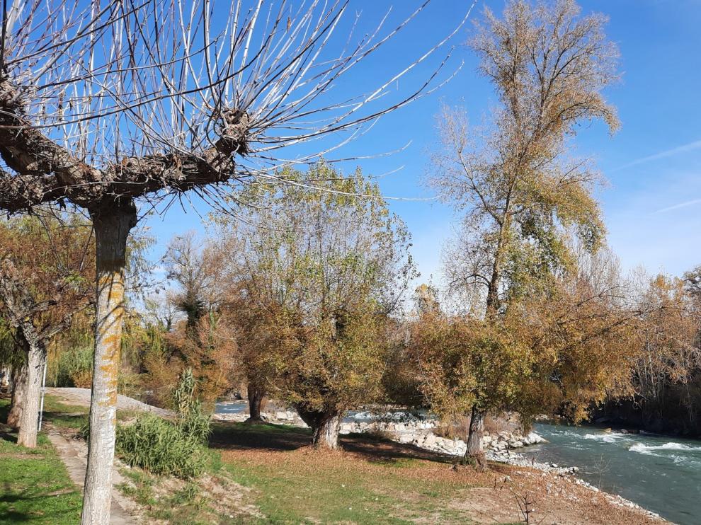 Graus inicia las labores de limpieza de la ribera del río Esera