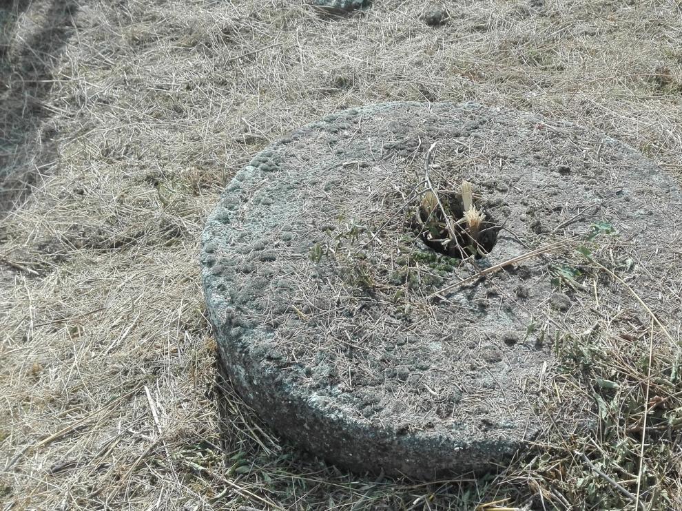 Los trabajos de desbroce de maleza en la Cartuja sacan a la luz los restos de un molino de aceite